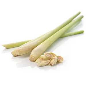 Fresh Thai Lemongrass (Lemon Grass) - Imported Weekly from Thailand