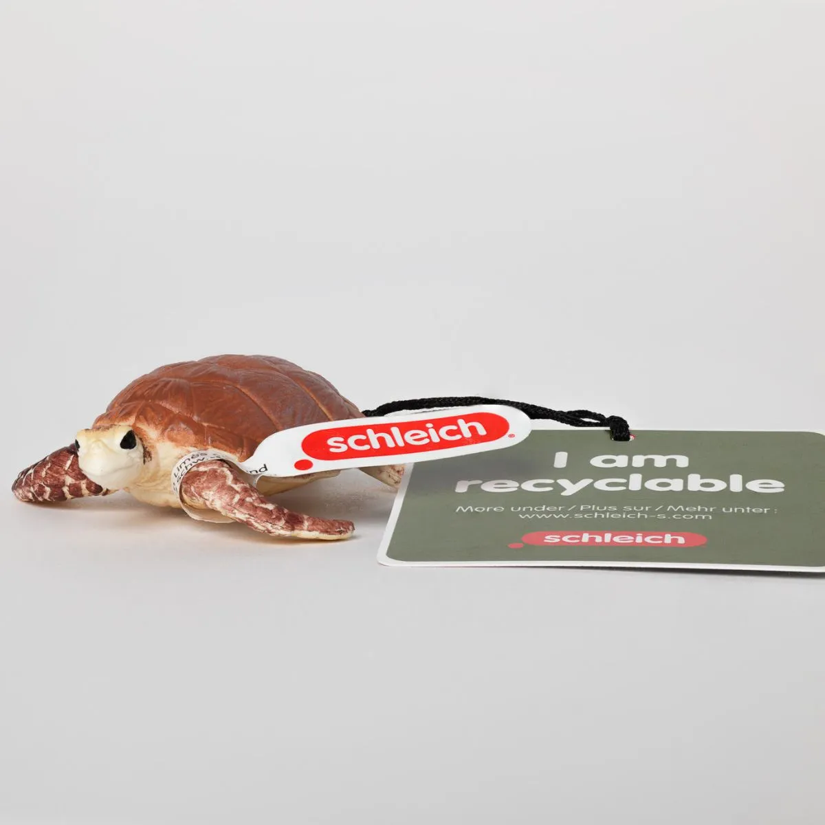 Hawksbill Sea Turtle (Circular)